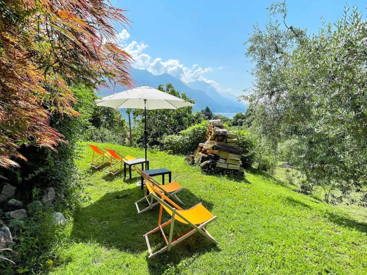 Breva Loft Tra Gli Ulivi Ed Il Lago ベッラージョ エクステリア 写真