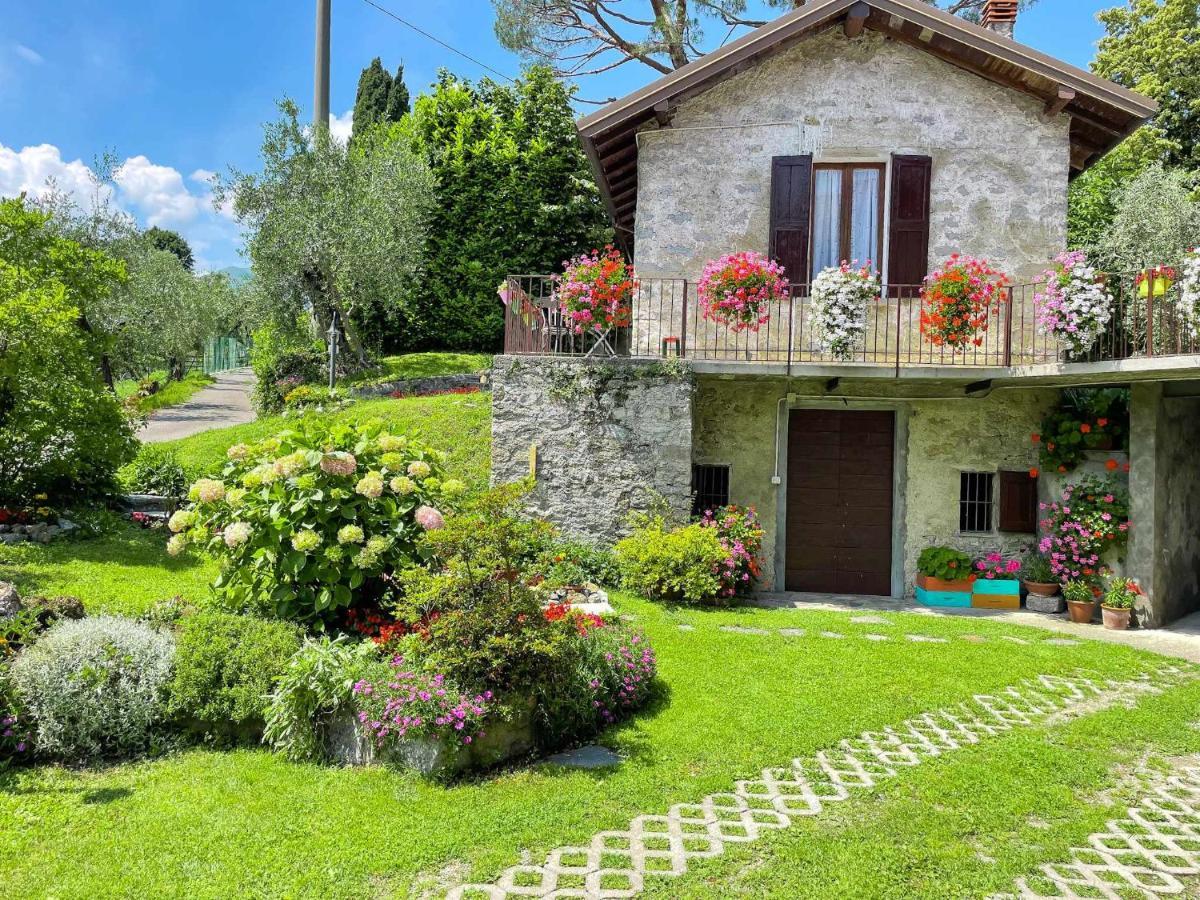 Breva Loft Tra Gli Ulivi Ed Il Lago ベッラージョ エクステリア 写真