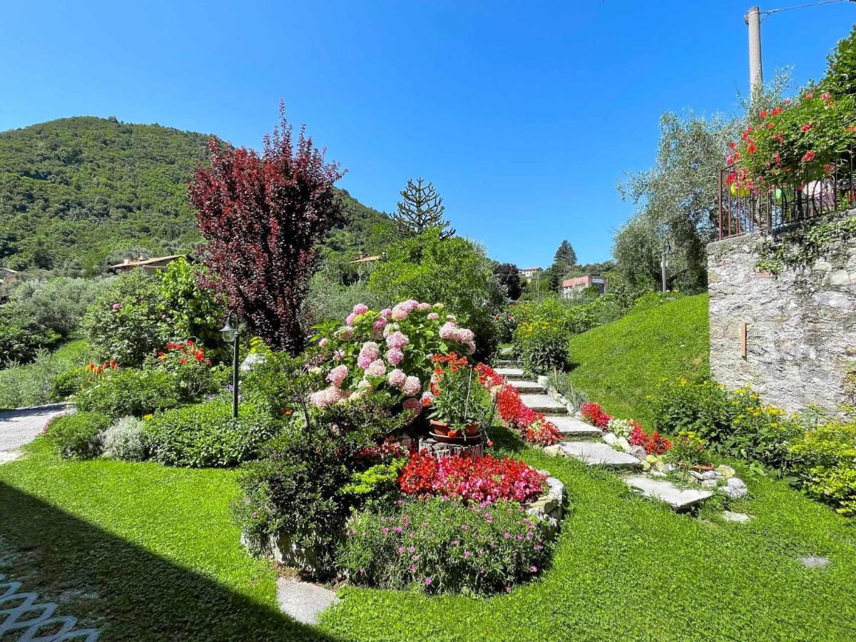 Breva Loft Tra Gli Ulivi Ed Il Lago ベッラージョ エクステリア 写真