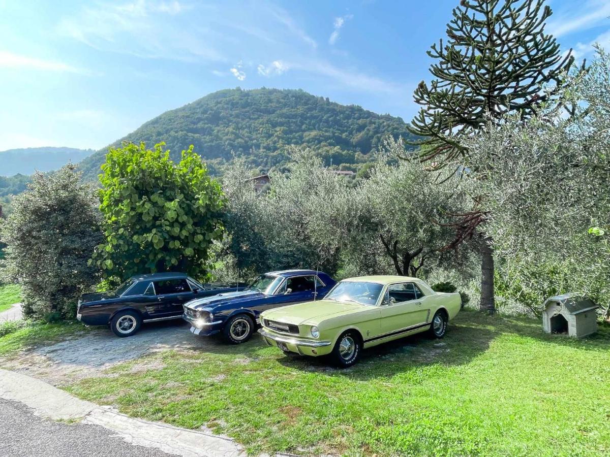 Breva Loft Tra Gli Ulivi Ed Il Lago ベッラージョ エクステリア 写真